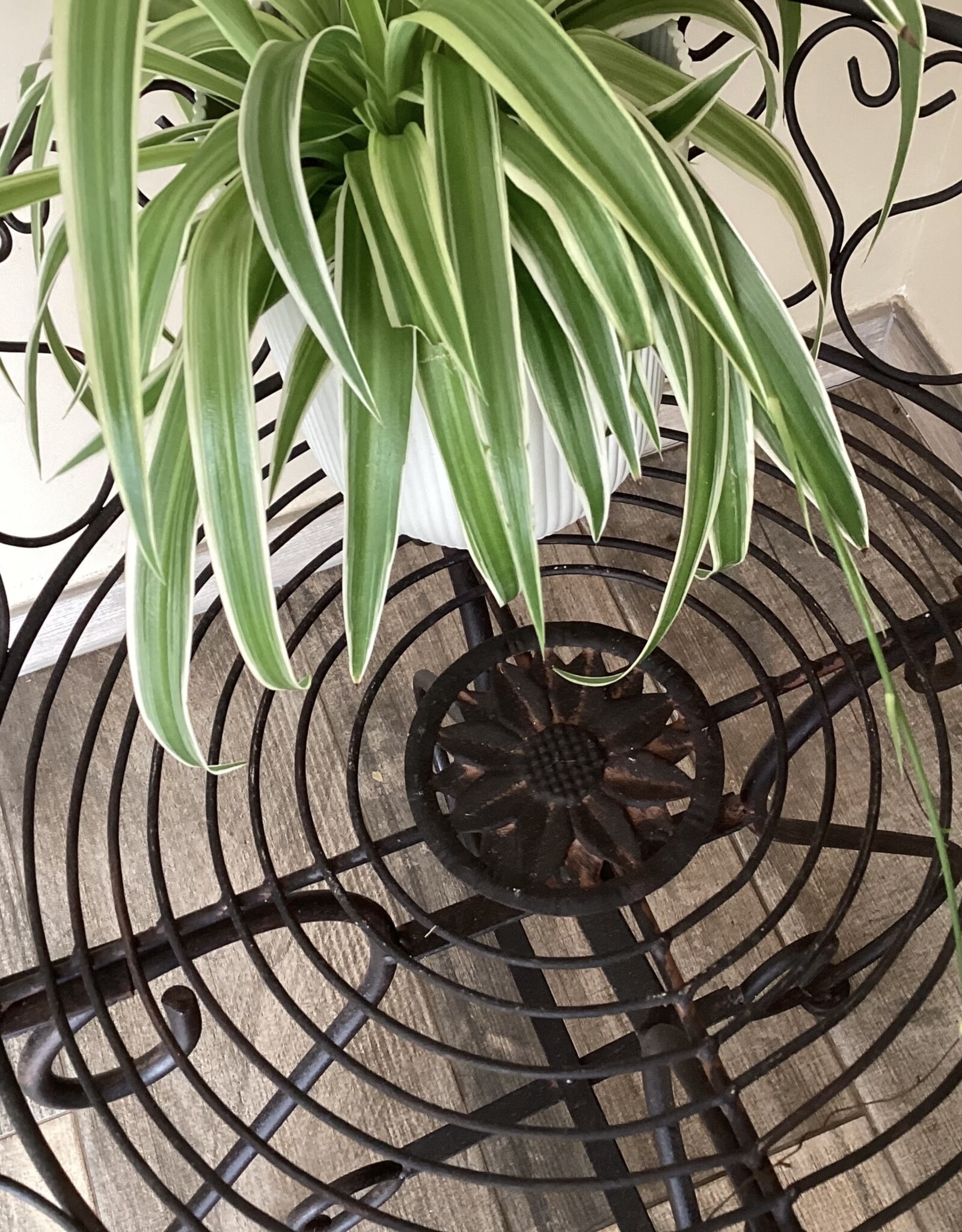 Plantentafel/bijzettafel