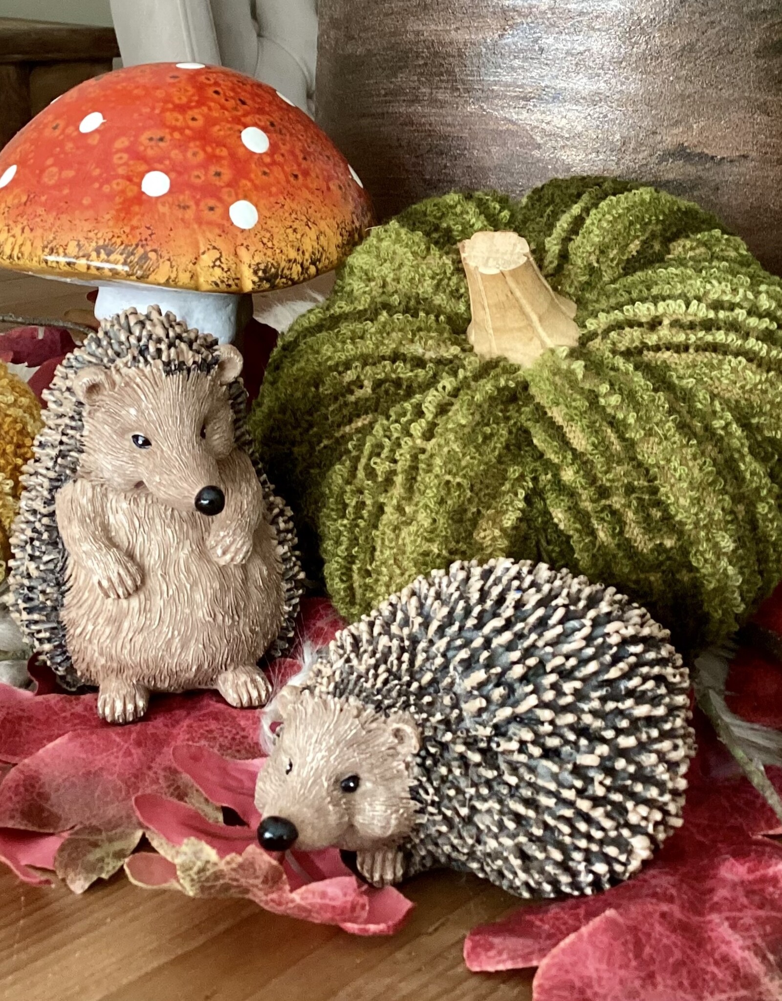 Igel-Set