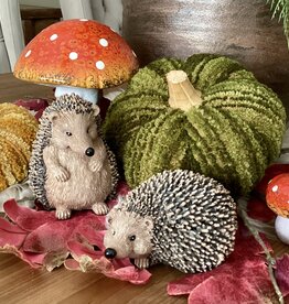 Igel-Set