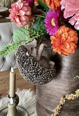 Hängender Igel