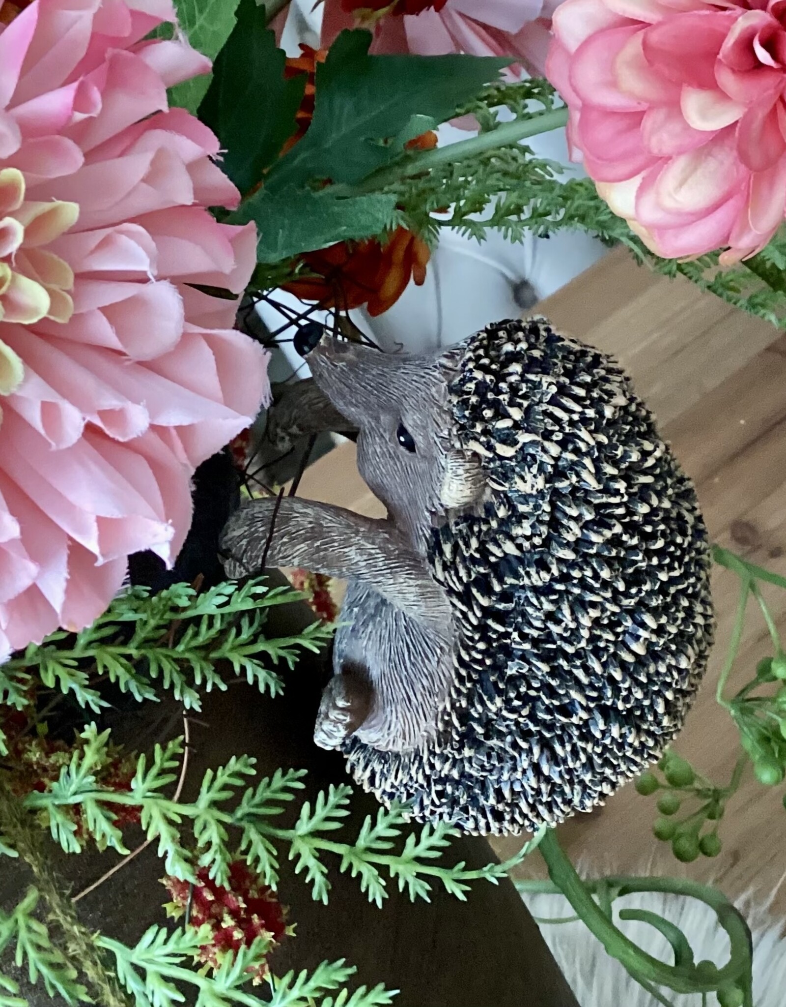 Hängender Igel