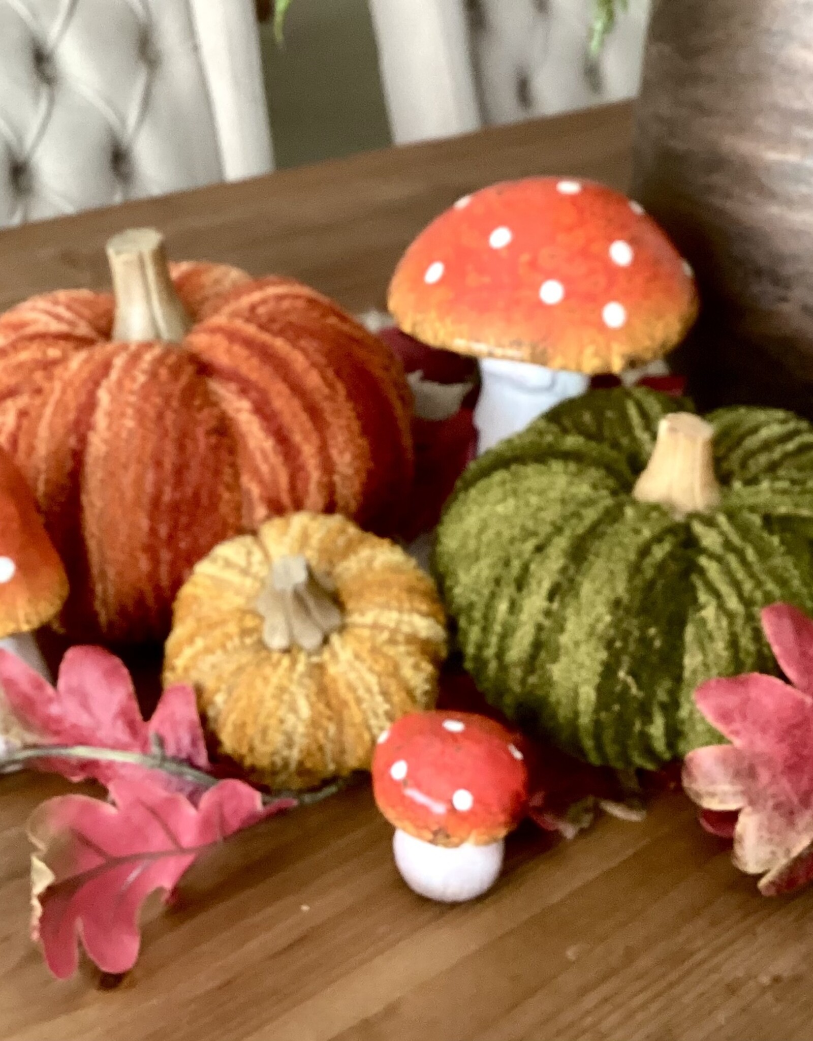 Citrouilles décoratives (set)