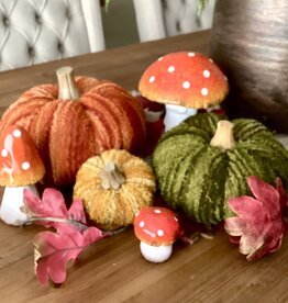 Citrouilles décoratives (set)