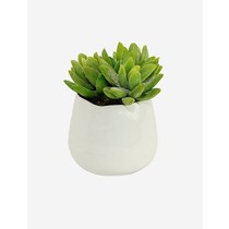 Brand4 limesop jimi limeso