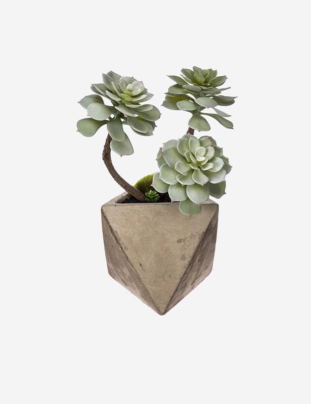 Brand4 Frignler adipiscin