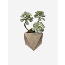 Brand4 limesop jimij limesop jimij