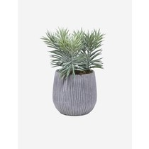 Brand6 Suspendisse phared