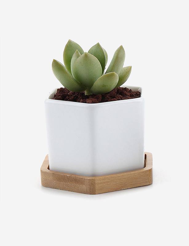 Brand2 Hunkwildsit amet  amet