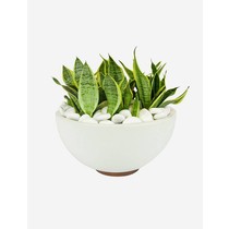 Brand4 limesop jimij limesop jimij