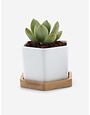 Brand3 dolor Lorem ipsum dolor  dolor