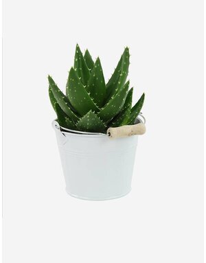 Brand3 Lorem ipsum dolod