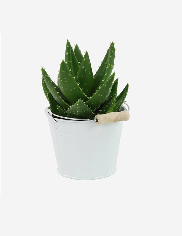 Brand3 Lorem ipsum dolod