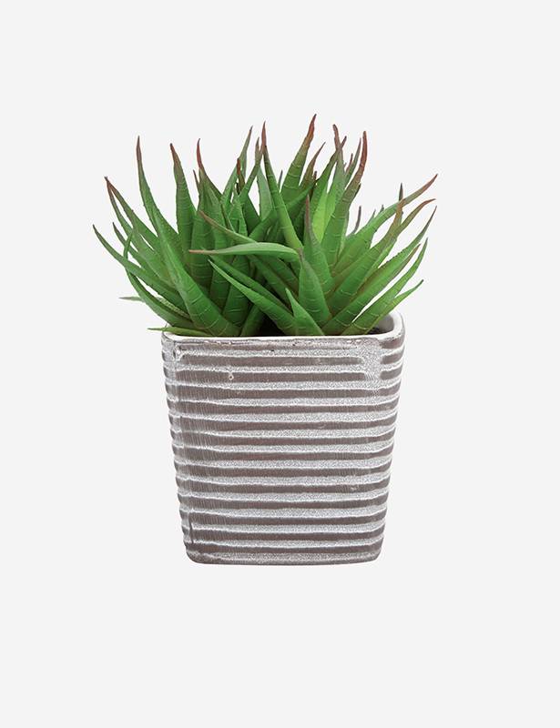 Brand3 Lorem ipsum dolod ipsum