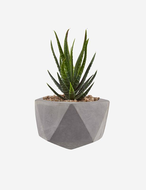 Brand3 Lorem ipsum dolor sit