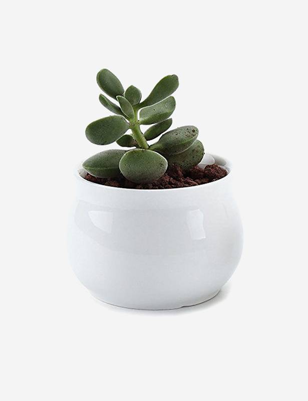 Brand3 Lorem ipsum dolor sit