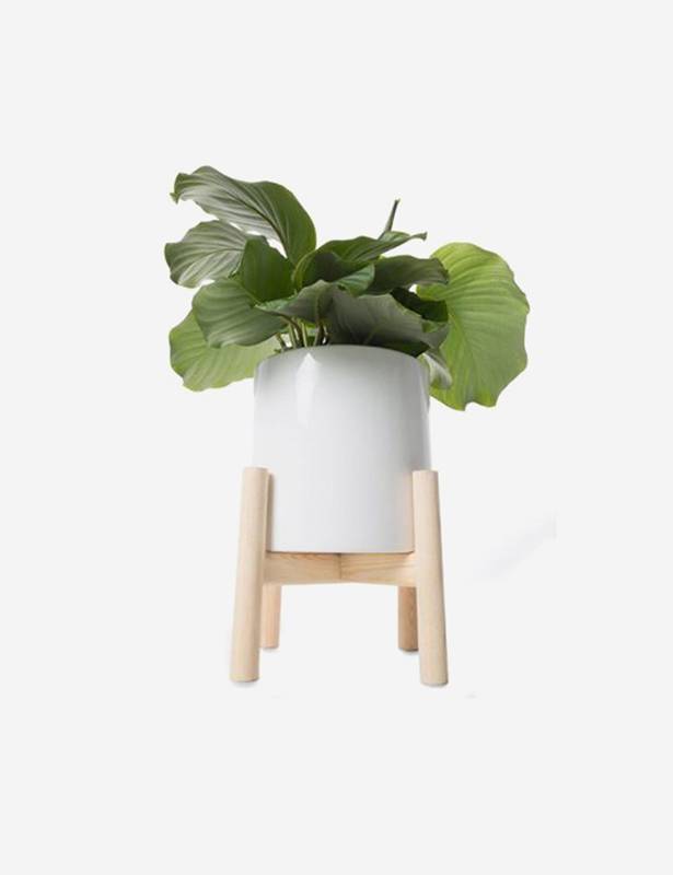 Brand3 Lorem ipsum dolor sit