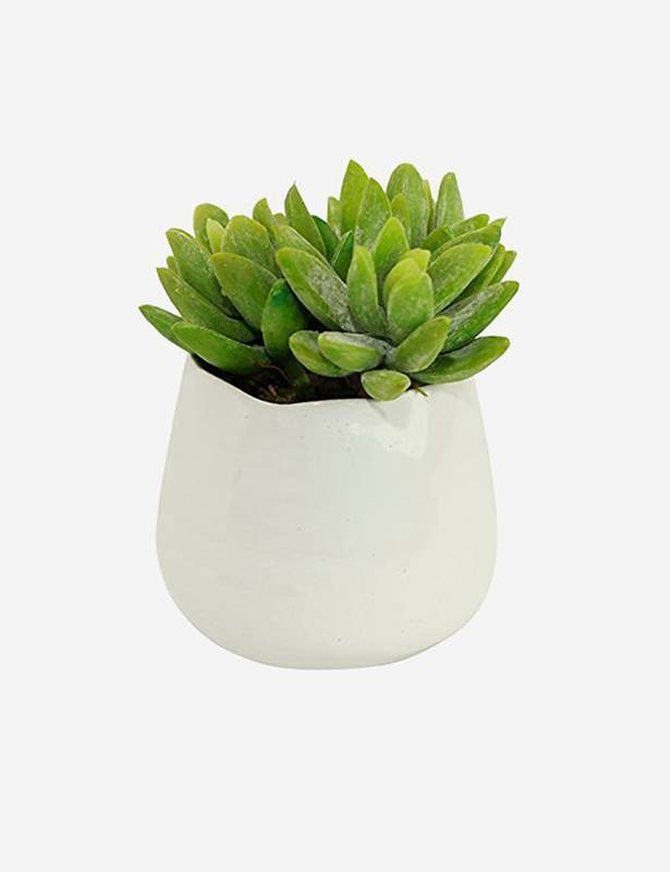 Brand6 Suspendisse pharetra