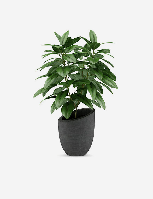 Brand6 Suspendisse phare