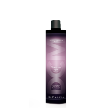 DCM Shampoo Colored Hair 300ml.(Gaat uit assortiment)