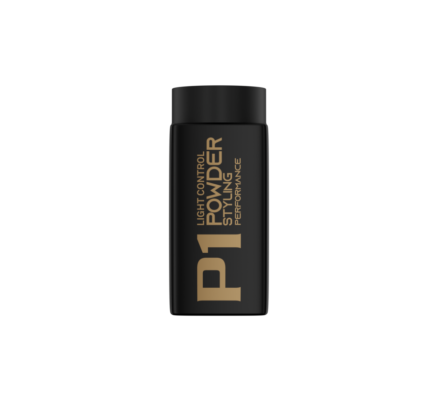 P1 Styling Powder 20Gr. - 12 STUKS