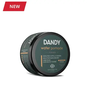 DANDY  WATER POMADE 100ml