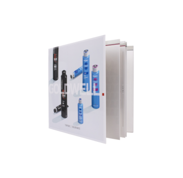 Goldwell Topchic Color Card