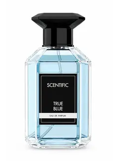 Scentific TRUE BLUE Eau de Parfum 100ml