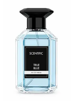 Scentific TRUE BLUE Eau de Parfum 100ml