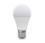 OMEGA AMPOULE LED ECO 6000K E27 15W (42583)