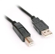 Omega OMEGA CABLE DE CONNEXION IMPRIMANTE USB 2.0 AM-BM 3M bulk 40064