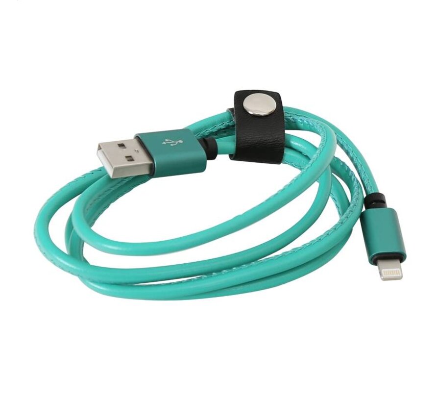 CABLE USB CUIR PLATINET LIGHTNING - 1M VERT