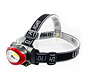 OMEGA HEAD LAMP COB [43828]