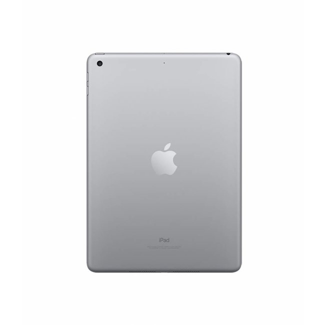 Apple iPad Gray