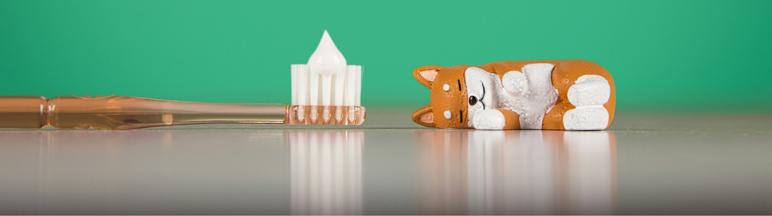 Wat is hydroxyapatiet en wat doet het?