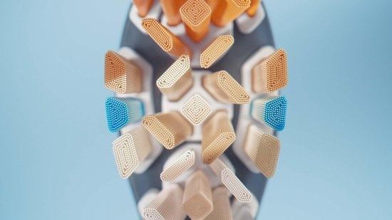 Philips Sonicare opzetborstels Premium All-in-One HX9092/88 | 2 stuks | Zwart