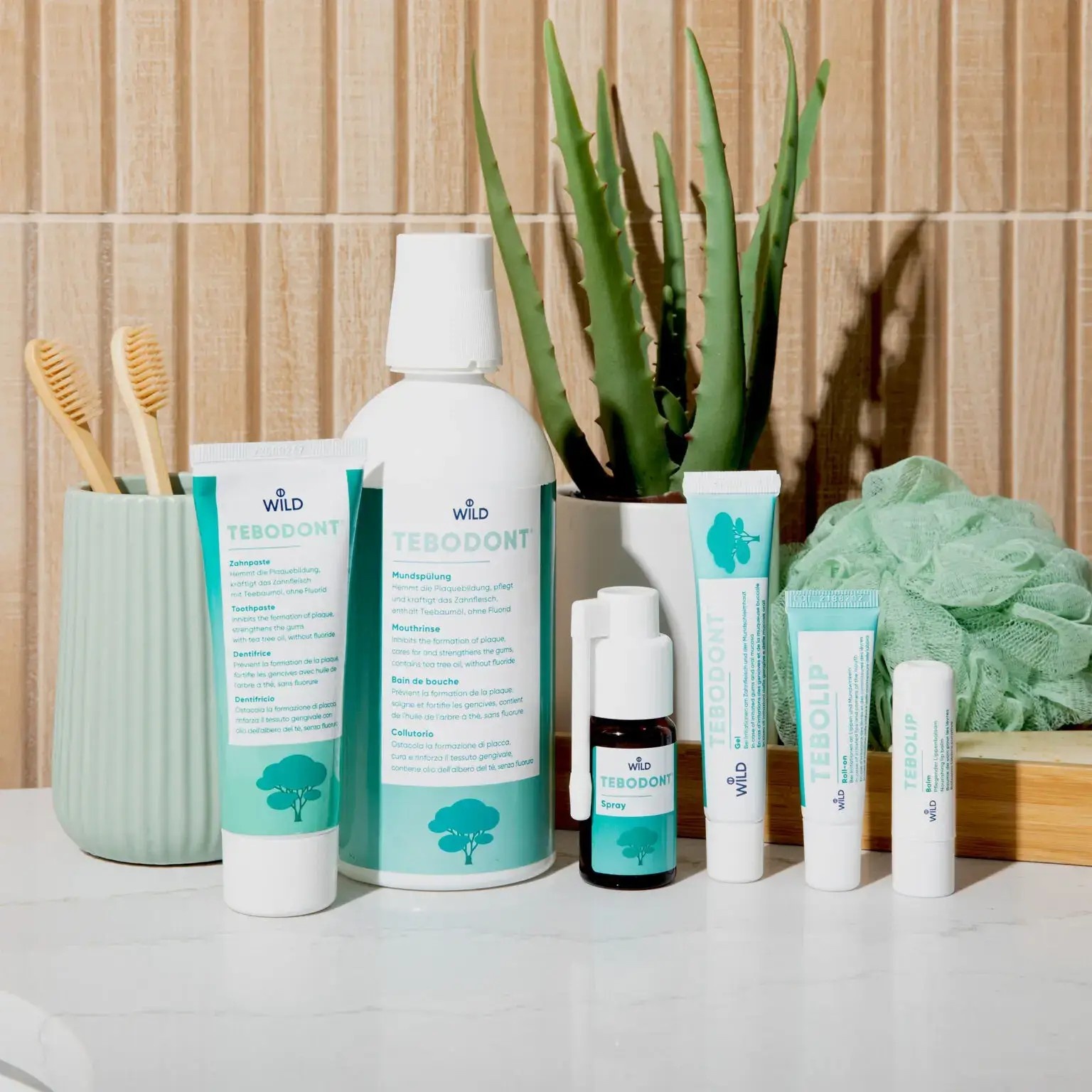 Tebodont Tandpasta Zonder Fluoride – 75 ml