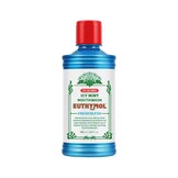 Euthymol Mondwater Icy Mint | 500 ml