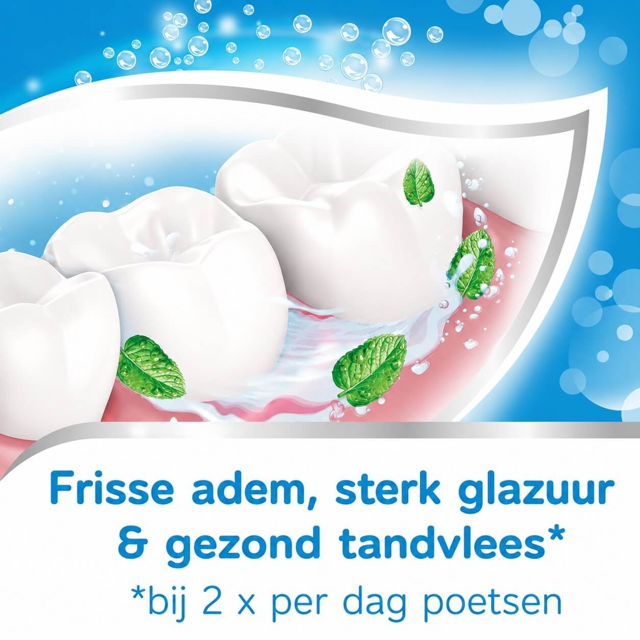 Aquafresh Tandpasta Fresh & Minty 3-In-1 | 75 ml | Frisse Adem