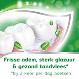 Aquafresh Tandpasta Anti-Cariës | 75 ml | Sterke Tanden