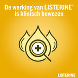 Listerine Fresh Ginger & Lime Mild Mondwater | 500 ml | Milde Frisse Adem