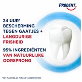 Prodent Cool Mint Tandpasta | 6 x 75 ml | 24 Uur Bescherming & Langdurige Frisheid