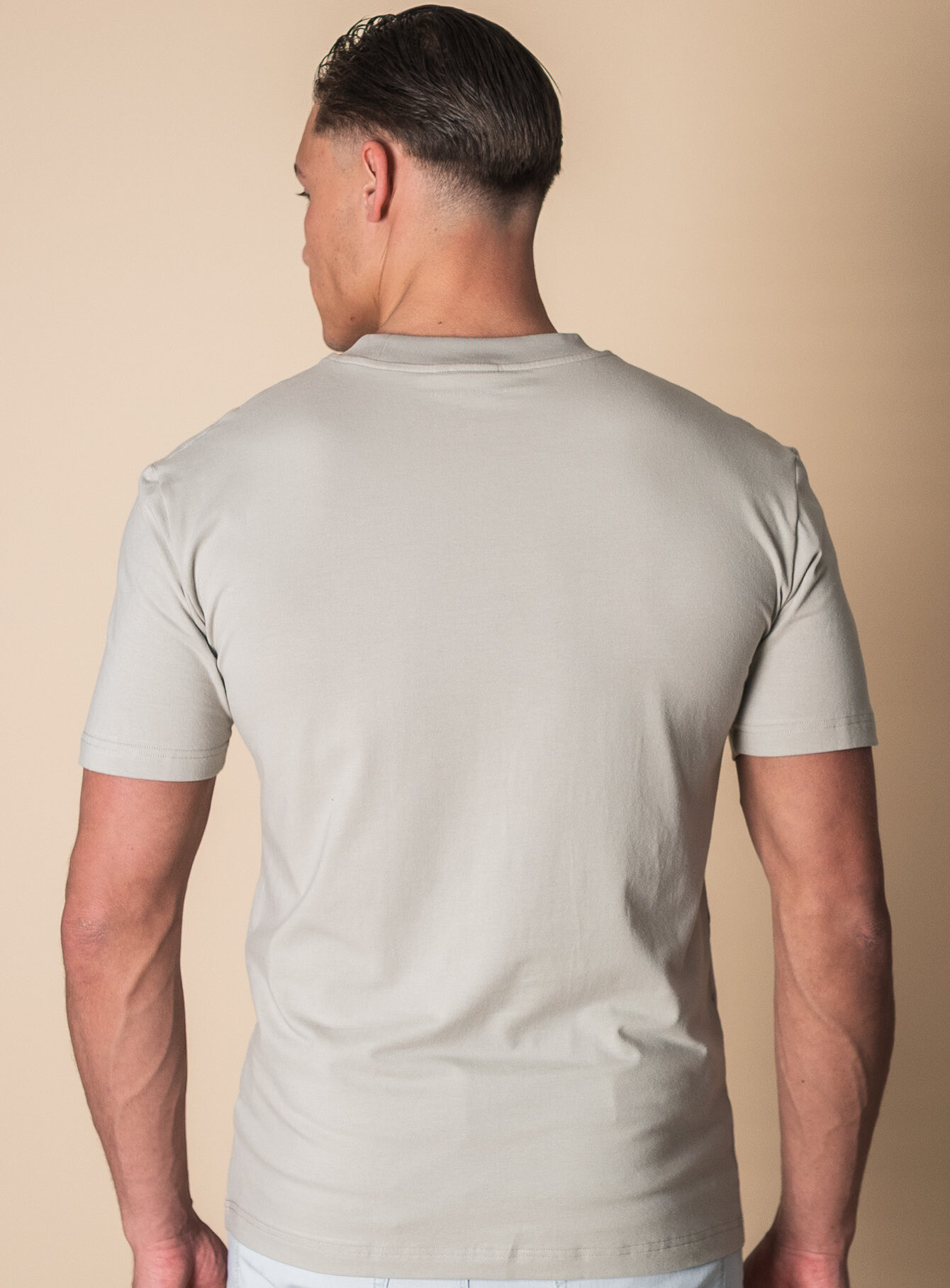 Zumo Regular Fit T-shirts TITAN Beige