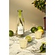 Pineut Lime Liqueur | Bouteille | Prêt pour un Baiser Pineut Lime Liqueur | Bouteille | Prêt pour un Baiser