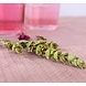Pineut Table Water | Carafe | Rose, Hibiscus and Mountain-tea Pineut Table Water | Carafe | Rose, Hibiscus and Mountain-tea