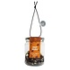 Pineut Jägertee | Carafe - Copy Pineut Jägertee | Carafe - Copy