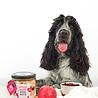 Pineut Pineut woof bake | Dognuts Pineut Pineut woof bake | Dognuts