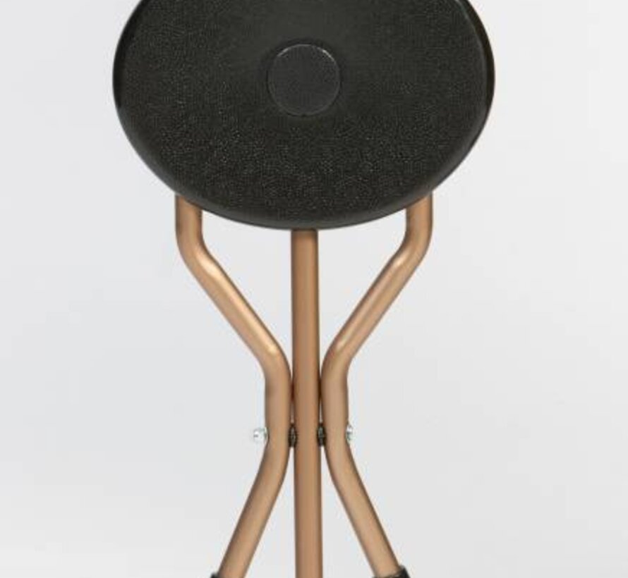 Wandelstok met opklapbare zitting