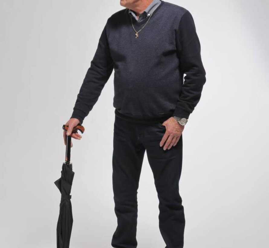 Paraplu en wandelstok in 2