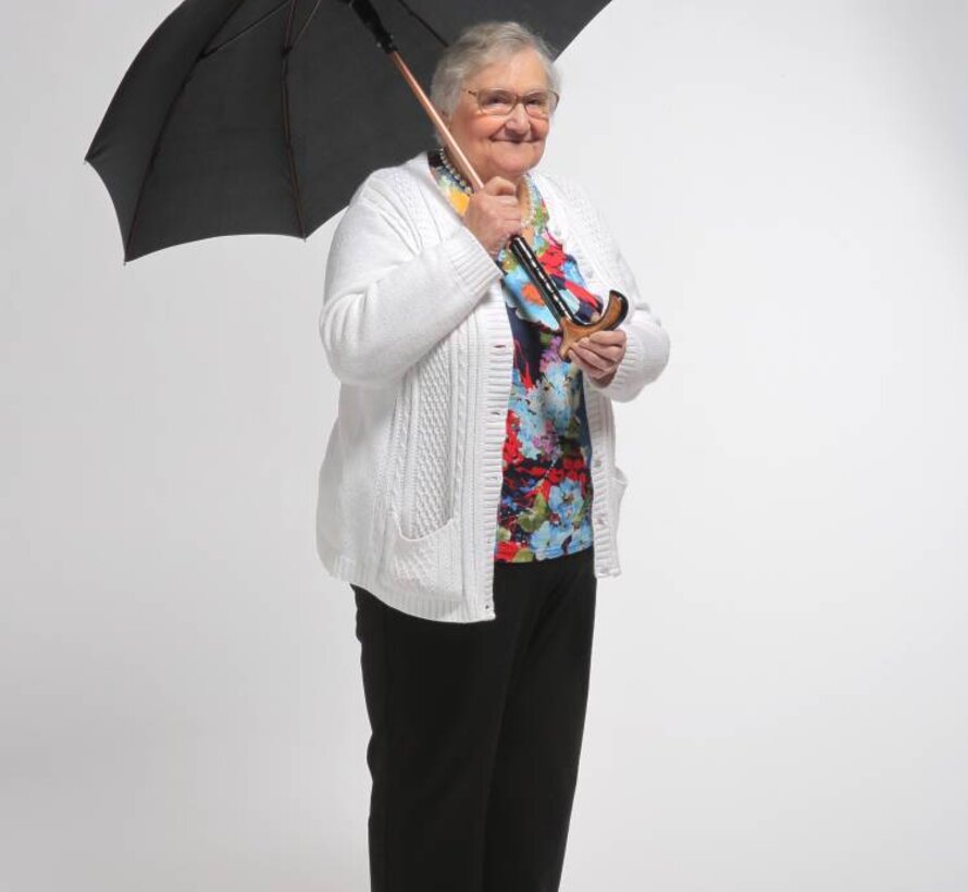 Paraplu en wandelstok in 2