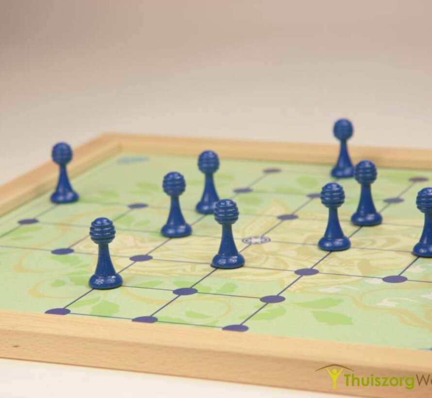 Een spel dat door een persoon wordt gespeeld